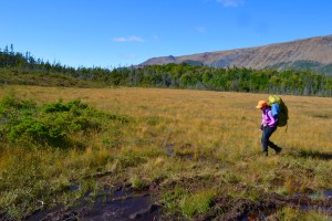 North Arm Hills Hiking Adventure