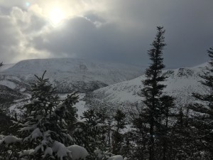 Snowshoe Adventure: Hummock Trail