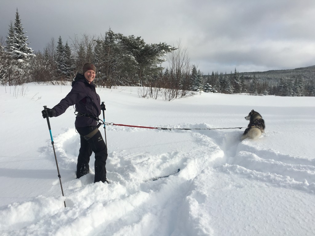Western Newfoundland’s Top 10 Winter Adventures