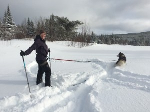 Our Favourite Winter Sport is - Skijoring!