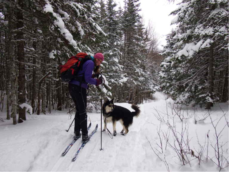 Guest Post: Wigwam Pond Cross-country Ski