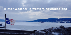 Q & A: How is the Winter Weather in Western Newfoundland?