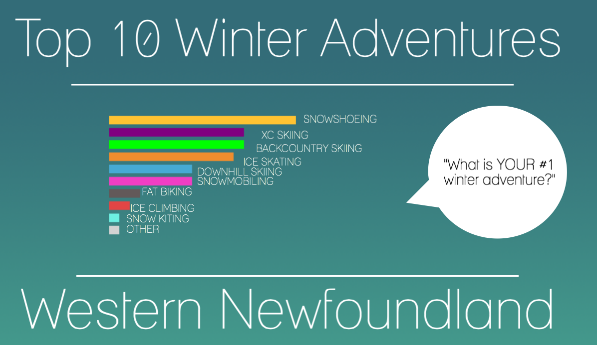 newfoundland winter adventures