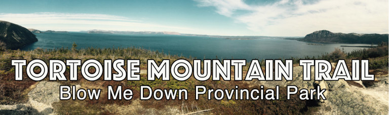 Tortoise Mountain Trail – Lark Harbour