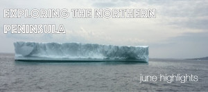 June Highlights from Exploring the Northern Peninsula