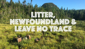 Litter, Newfoundland, and Leave No Trace