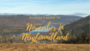 A Local's Guide to November in Newfoundland