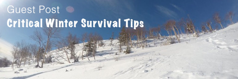 Guest Post: Critical Winter Survival Tips