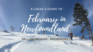 A Local’s Guide to February in Newfoundland