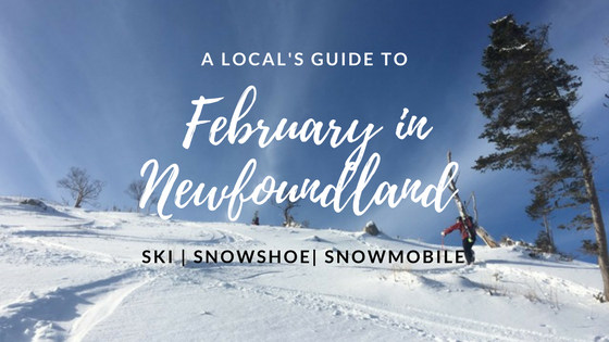 locals guide to February