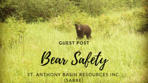 Bear Safety in Newfoundland