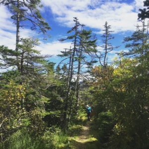 Fall Hiking in the Coast of Bays