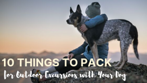 10 Things to Pack for Outdoor Excursions with Your Dog