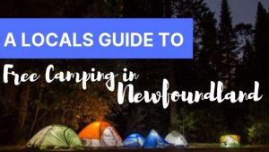 A Locals Guide to Free Camping in Newfoundland