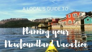 A Local's Guide to Planning your Newfoundland Vacation