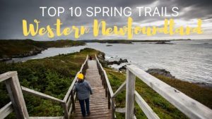 Top 10 Spring Trails in Western Newfoundland