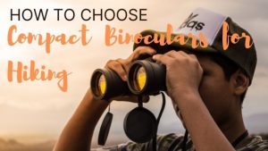 How to Choose Compact Binoculars for Hiking