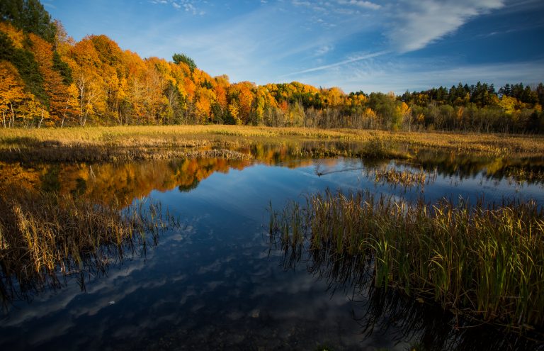 The Best Time to Visit Newfoundland: A Locals Guide