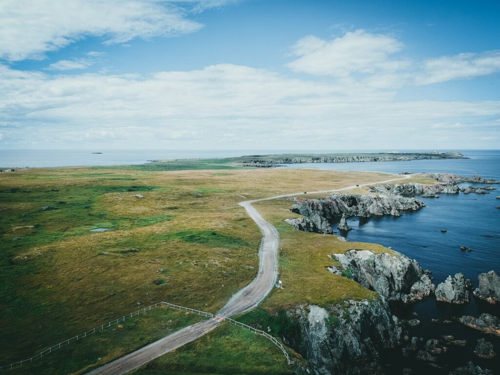 a path through a grassy area