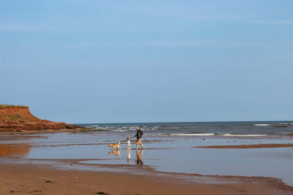 A person walks a dog on a beach.