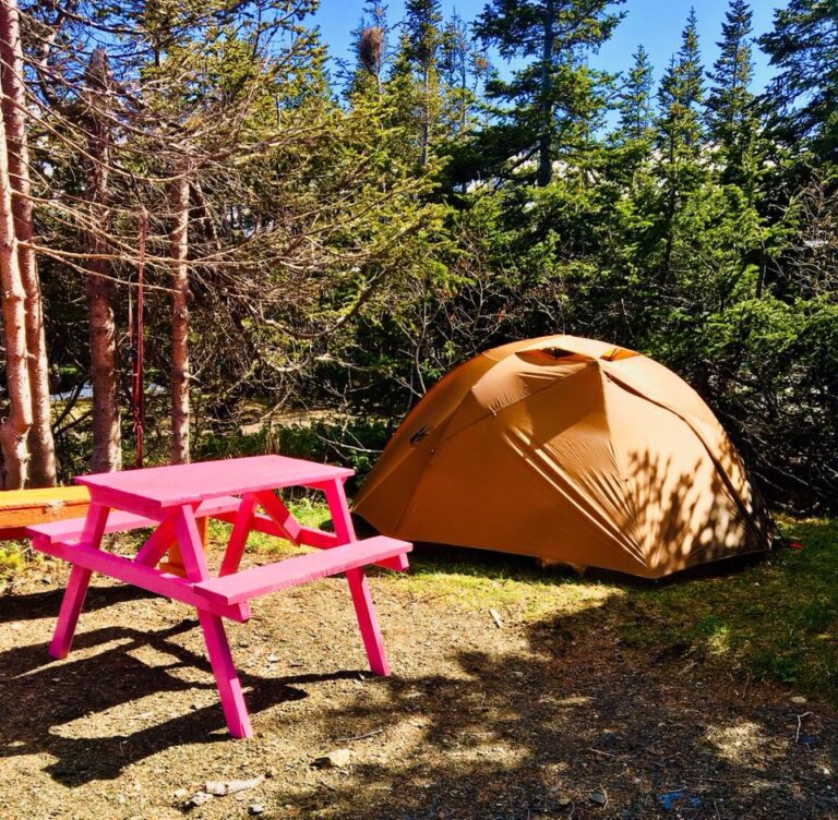 The Best Campgrounds in Newfoundland and Labrador