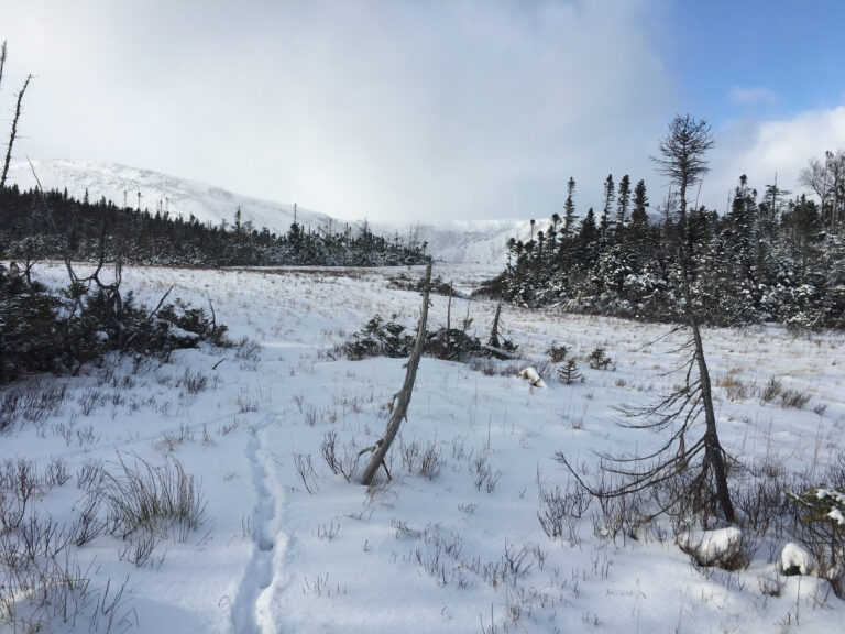 The Ultimate Guide to Snowshoeing in Newfoundland